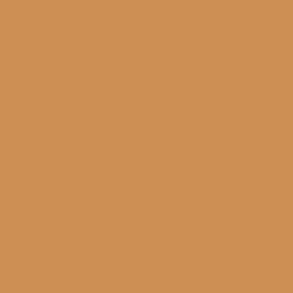 Crayon de couleur - Ocre brun 50% - Caran d'Ache - Luminance 6901