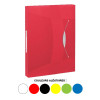 Trieur - 6 compartiments - Plastique - A4 - Pour classer les documents - Esselte