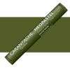 photo-Pastel tendre à l'huile - Olive Noir - Neopastel - Caran d'Ache