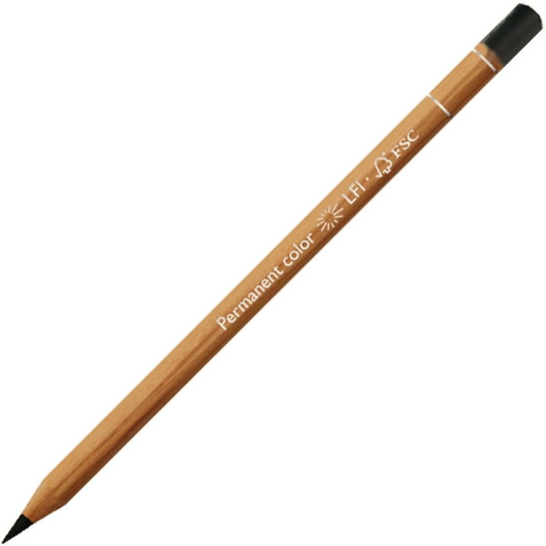 photo-Crayon de couleur - Vert sapin foncé - Caran d'Ache - Luminance 6901