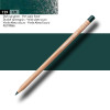 Crayon de couleur - Vert sapin foncé - Caran d'Ache - Luminance 6901