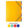 photo-Trieur - 12 compartiments - Carton rigide - Avec élastiques - 24x32 cm - Exacompta