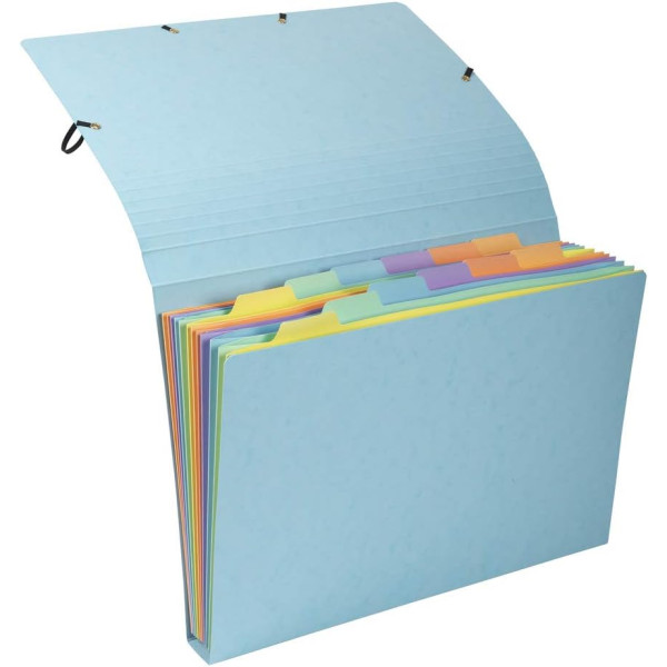 Trieur - 12 compartiments - Carton rigide - Avec élastiques - 34x24,5cm - Exacompta