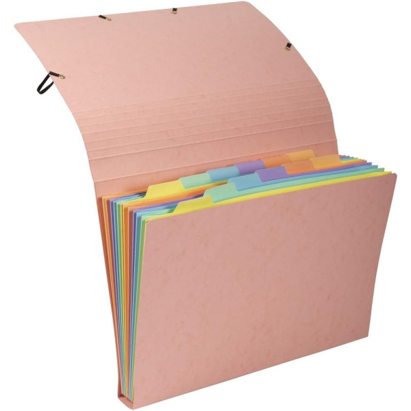 Trieur - 12 compartiments - Carton rigide - Avec élastiques - 34x24,5cm - Exacompta