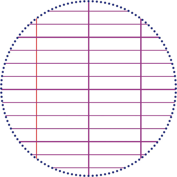 Carnet - Répertoire - 11x17cm - Sans spirale - 96 pages - Grands carreaux - Clairefontaine