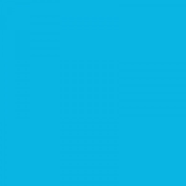 Cahier - A4 (21x29,7cm) - Grands carreaux - 48 pages - Polypro - sans spirale - Bleu