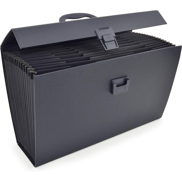 Trieur - Valisette - Classement - 19 compartiments - Noir - Format A4+ - Rapesco