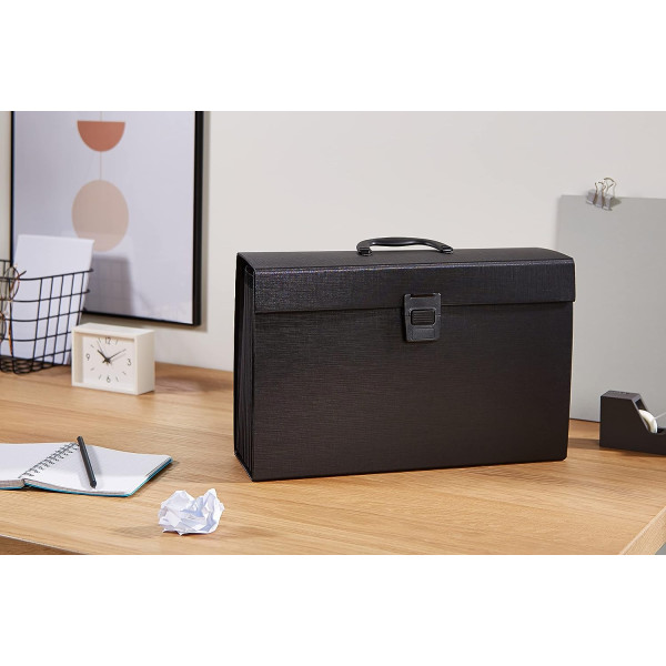 Trieur - Valisette - Classement - 19 compartiments - Noir - Format A4+ - Rapesco