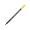 photo-Crayon de couleur - Aquarelle - Jaune - Caran d'Ache - Museum Aquarelle