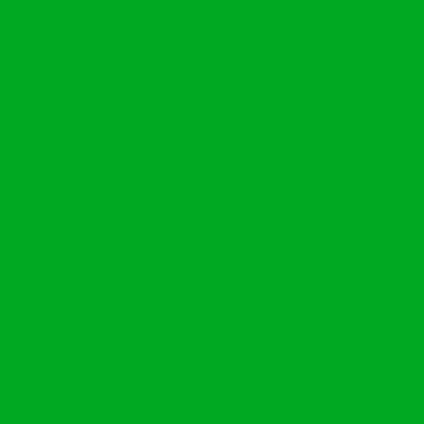 Feutre de coloriage - Faber-Castell - Goldfaber Sketch - Vert Feuille - 112