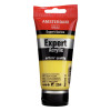 photo-Tube de peinture acrylique - Jaune Citron Permanent 254 - Expert Acrylic - Amsterdam