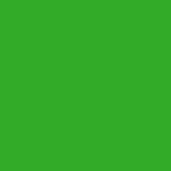 Crayon de couleur - Aquarelle - Vert prairie - Caran d'Ache - Museum Aquarelle
