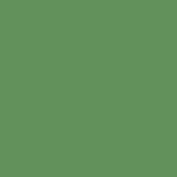 Crayon de couleur - Aquarelle - Vert oxyde de chrome - Caran d'Ache - Museum Aquarelle