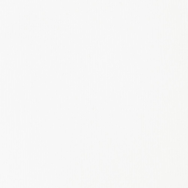 Peinture acrylique - Fluide - Blanc de Titane - 432 - Liquitex - Basics Acrylic fluid - 118ml