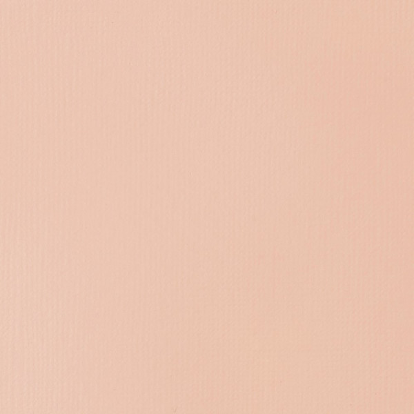 Peinture acrylique - Fluide - Rose clair - 810 - Liquitex - Basics Acrylic fluid - 118ml