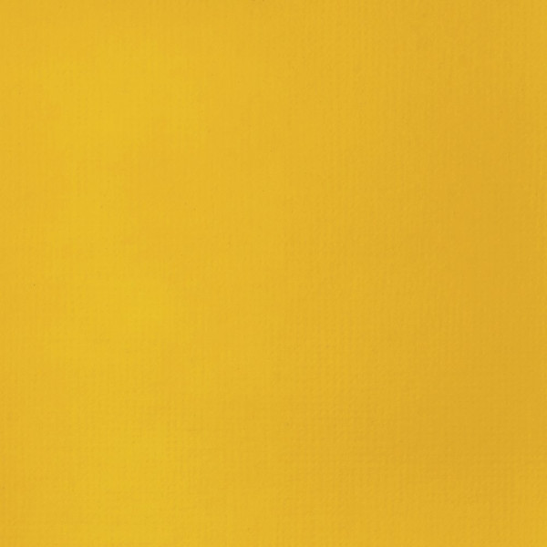 Peinture acrylique - Fluide - Jaune cadmium foncé - 163 - Liquitex - Basics Acrylic fluid - 118ml