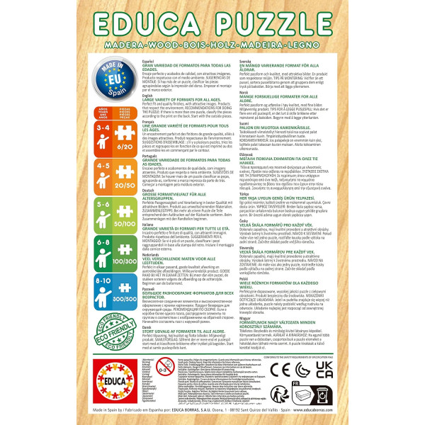 Puzzle - 100 pièces - Disney - Ercanto - 36x26cm - Enfant - Educa