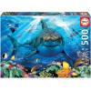 photo-Puzzle - 500 pièces - Le requin blanc et les poissons - 48x34cm - Educa