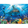 Puzzle - 500 pièces - Le requin blanc et les poissons - 48x34cm - Educa