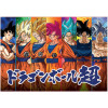 Puzzle - 300 pièces - Dragon Ball Z Super - 40x28cm - Educa