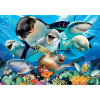 Puzzle - 100 pièces - Selfie sous l'eau - Animaux marins - 40x28cm - Educa