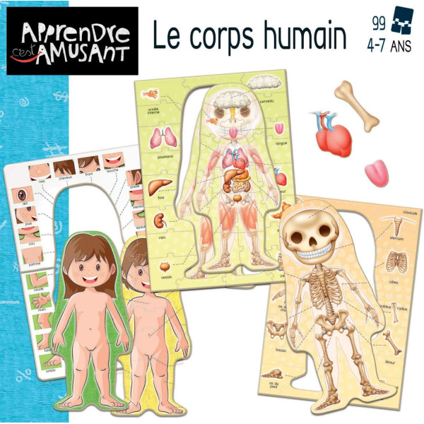 Jeu éducatif - Apprendre le corps humain en s'amusant - Pour enfant dès 4 ans - Educa
