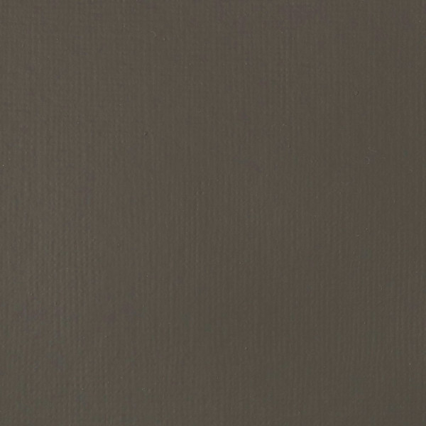 Peinture acrylique - Fluide - Terre d'ombre naturelle - 331 - Liquitex - Basics Acrylic fluid - 118ml