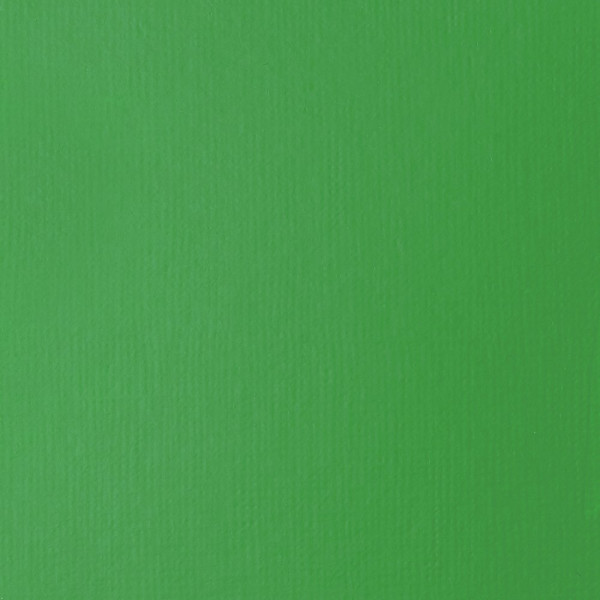 Peinture acrylique - Fluide - Vert clair permanent - 312 - Liquitex - Basics Acrylic fluid - 118ml