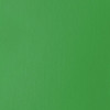 Peinture acrylique - Fluide - Vert clair permanent - 312 - Liquitex - Basics Acrylic fluid - 118ml