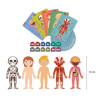 Puzzle - Enfant - 240 pièces - Apprendre le corps humain - Apli Kids