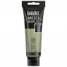 photo-Peinture acrylique - Gris vert - 205 - Liquitex Basics acrylic - Tube 118ml