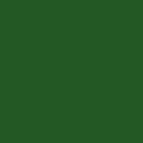 Bombe de peinture acrylique - Vert émeraude - RAL 6001 - Brillant - Tous supports - Prima Color - 400ml