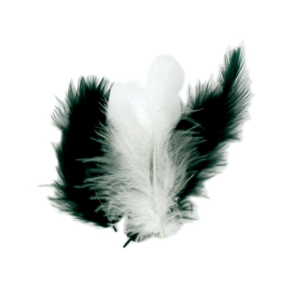 photo - Plumes naturelles - Camaïeu noir et blanc - 10 cm - 50 pièces