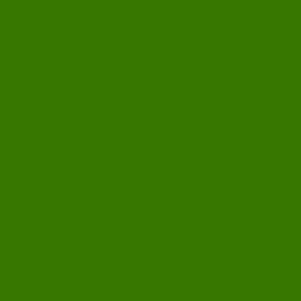Pelote de raphia - Vert foncé - 50g - CTOP