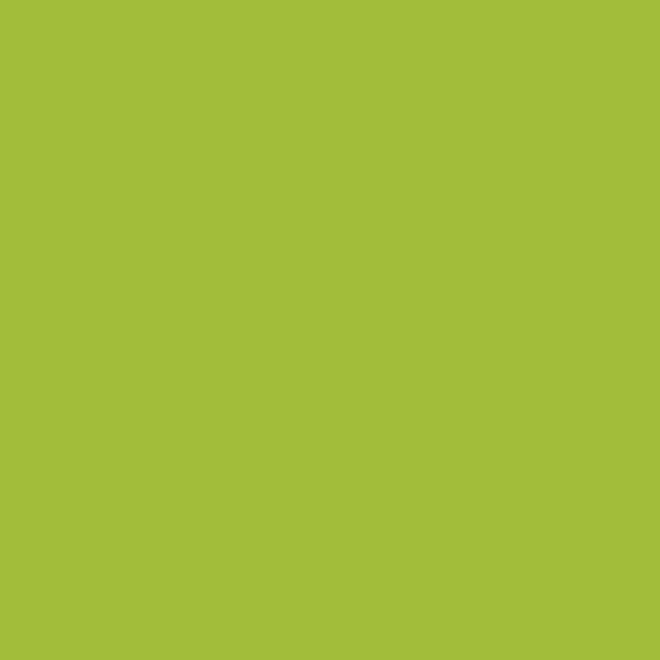 Peinture Acrylique en tube vert perroquet 200ml - Amt