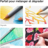 Coffret - Crayons de couleur - Aquarelle - Beaux-arts - Winsor et Newton - Collection - 50 pièces