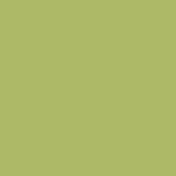 Pastel tendre à l'huile - Vert jaune - 230 - Neopastel - Caran d'Ache