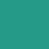 Pastel tendre à l'huile - Turquoise Vert - 191 - Neopastel - Caran d'Ache