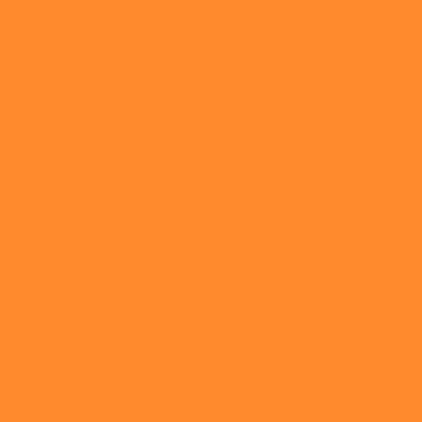 Pastel tendre à l'huile - Rouge orangé - 050 - Neopastel - Caran d'Ache