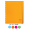 Cahier - A4+ - 22,5x29,7cm - Lignes - 160 pages - Polypro - Proactiv'Book - Clairefontaine