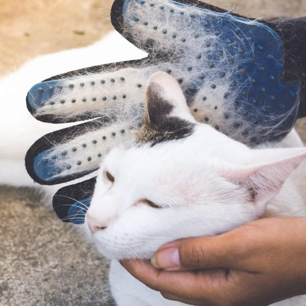 Gant pour enlever les poils - Animaux - Chien - Chat - Lapin - Avec picots