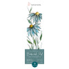 photo - Bloc aquarelle marque-pages - Grain fin - 20x5.5cm - 300g/m2 - 15 feuilles - Hahnemühle