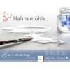 photo - Bloc aquarelle Harmony - Grain torchon - 40x50cm - 300g/m2 - 12feuilles  - Hahnemühle
