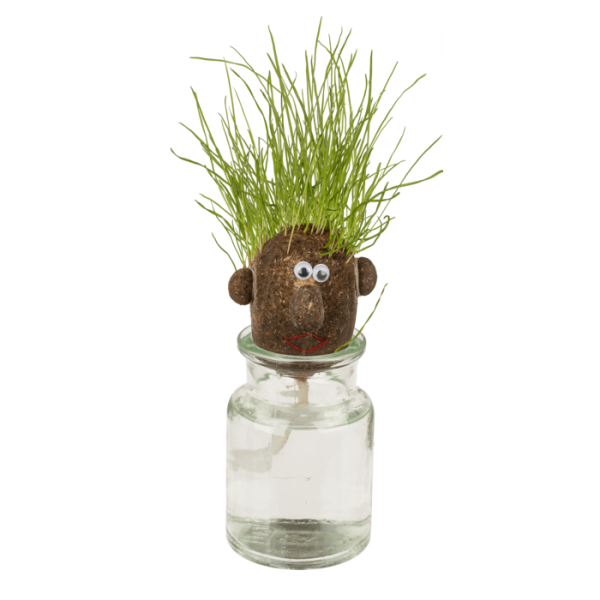photo-Jeu enfant - Tête d'œuf en herbe - Jardinage - Idées cadeaux