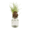 Jeu enfant - Tête d'œuf en herbe - Jardinage - Idées cadeaux