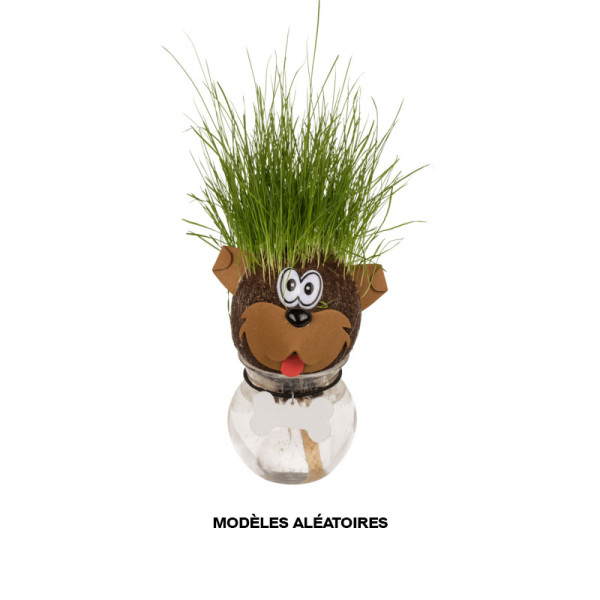 Jeu enfant - Tête d'animal en herbe - Jardinage - Idées cadeaux