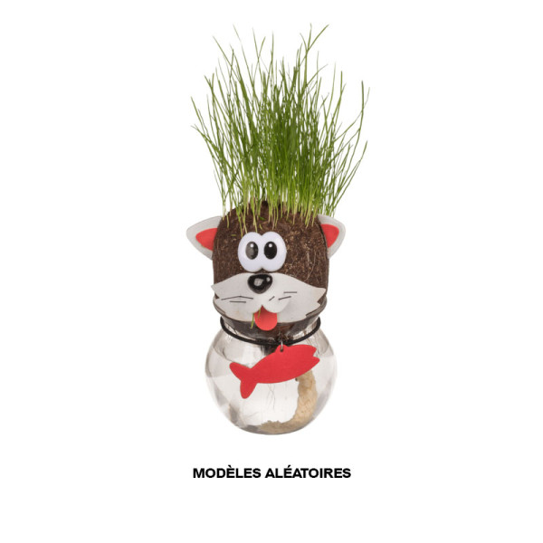 Jeu enfant - Tête d'animal en herbe - Jardinage - Idées cadeaux