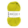 photo-Pelote de laine - Kiwi - 50% Laine 50% acrylique - Bergère de France - Idéale 4