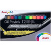 photo-Pastels à l'huile - Boîte de 12 - Couleurs flurorescentes - Pentel Arts
