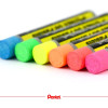 Pastels à l'huile - Boîte de 12 - Couleurs flurorescentes - Pentel Arts